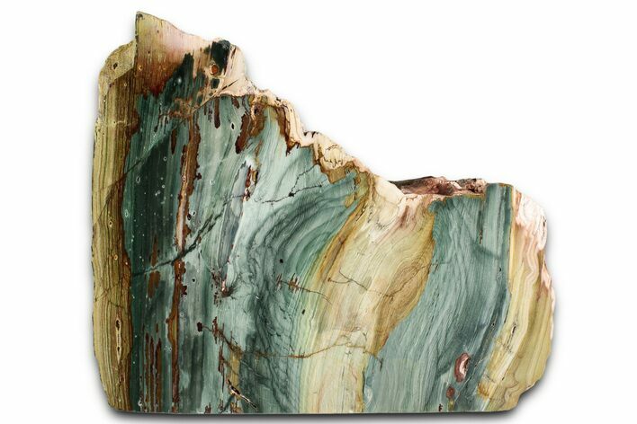Free-Standing, Gary Green Jasper (Larsonite) Bog Wood - Oregon #334751